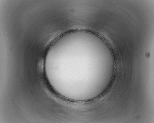 X0000089730024200706210926