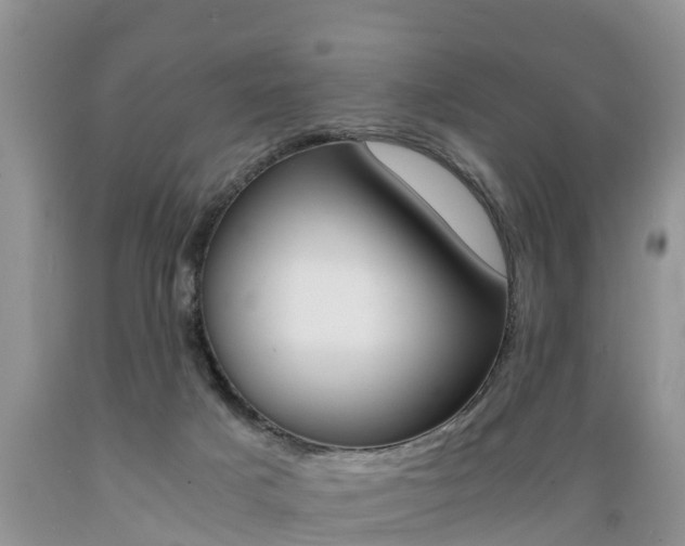 X0000089730025200706210926
