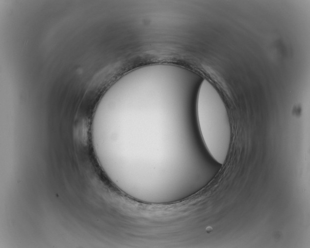 X0000089730026200706210926