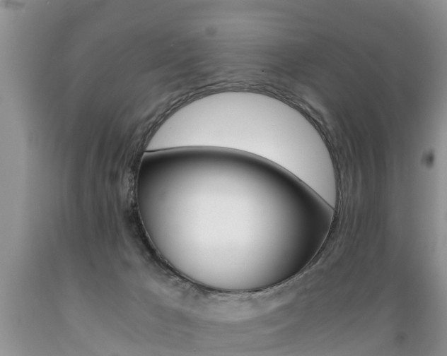 X0000089730029200706210926