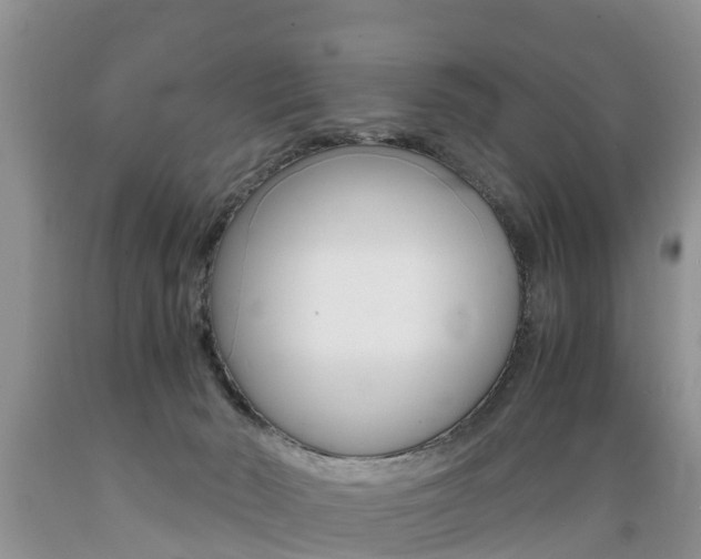 X0000089730030200706210926