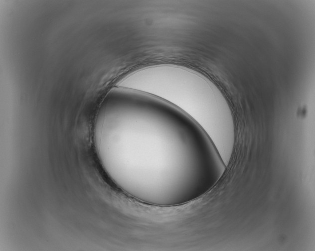 X0000089730031200706210926