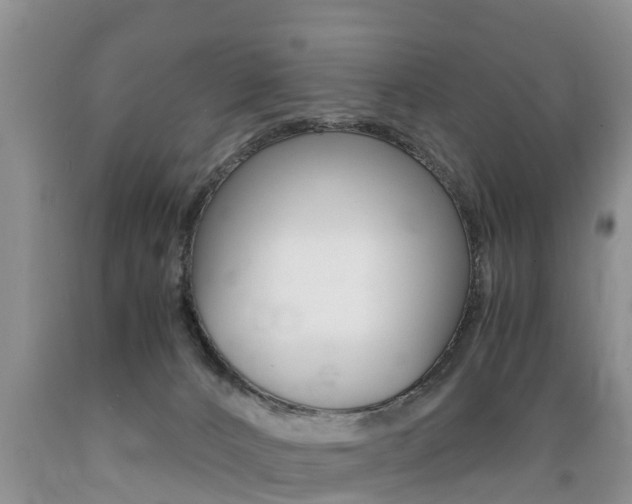 X0000089730032200706210926