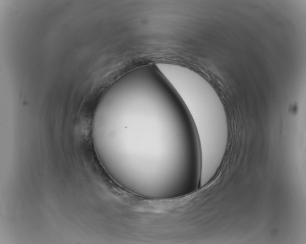 X0000089730033200706210926