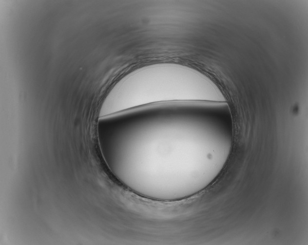 X0000089730035200706210926
