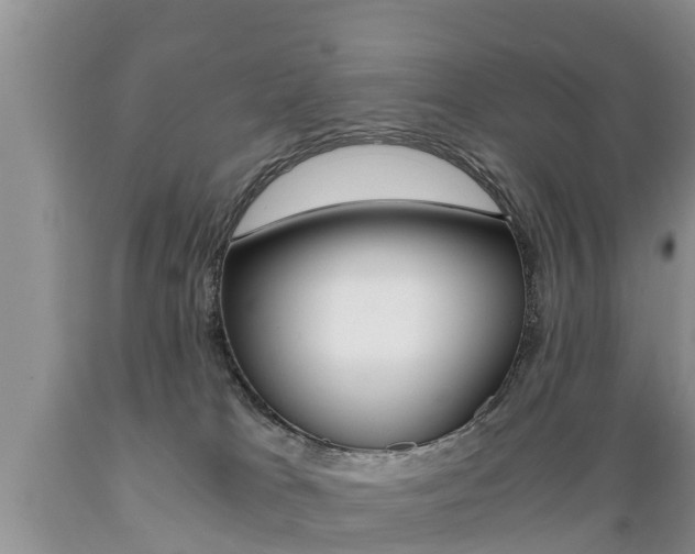 X0000089730037200706210926