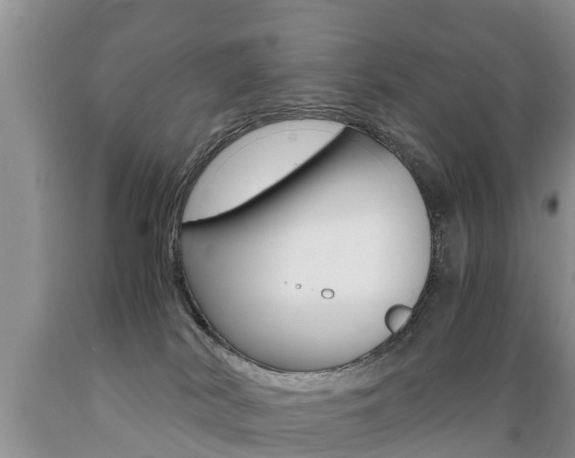 X0000089730038200706210926