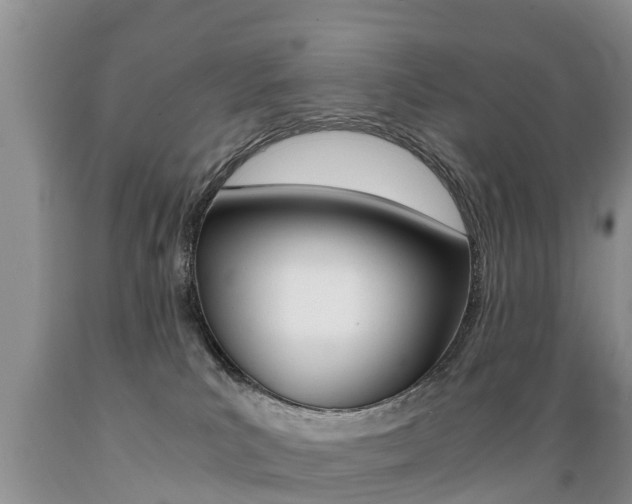 X0000089730039200706210926