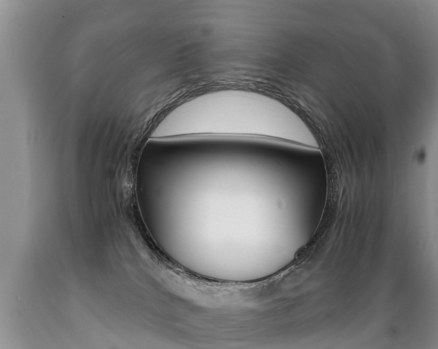 X0000089730040200706210926