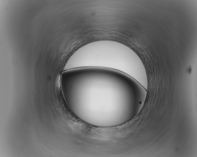 X0000089730041200706210926