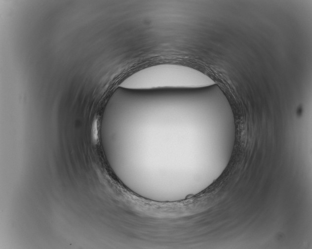 X0000089730042200706210926