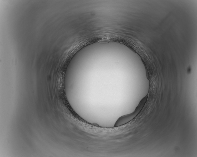 X0000089730043200706210926