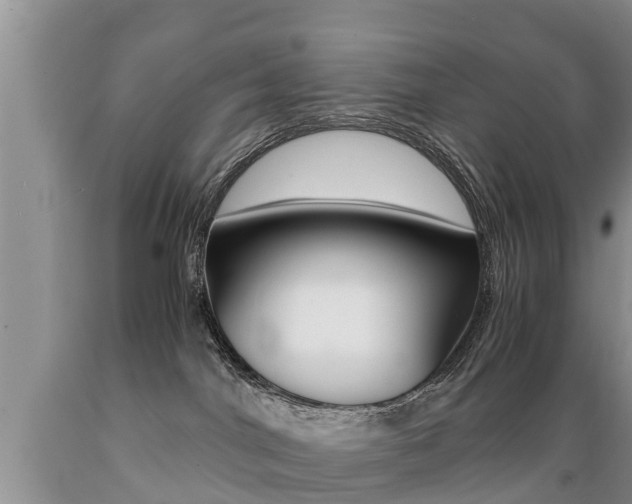 X0000089730044200706210926