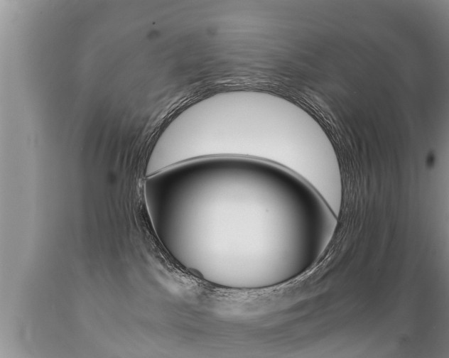 X0000089730045200706210926