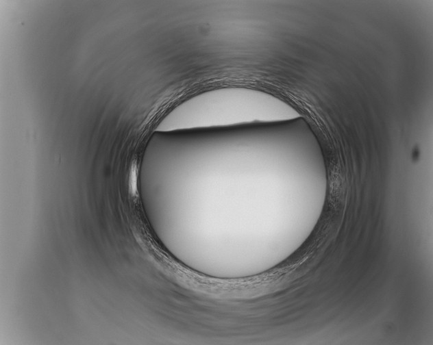 X0000089730046200706210926