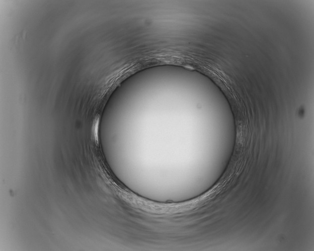 X0000089730047200706210926