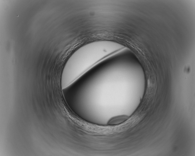X0000089730048200706210926