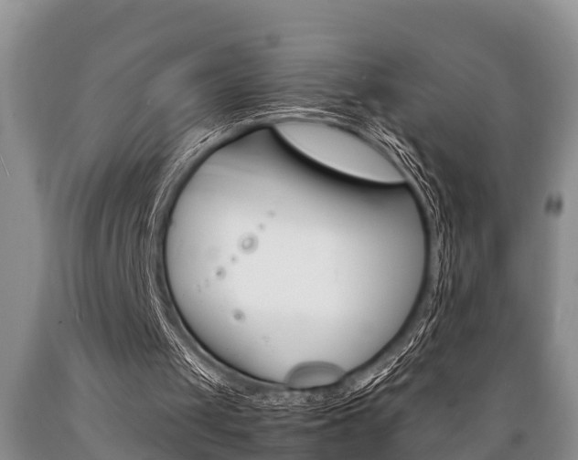 X0000089730049200706210925