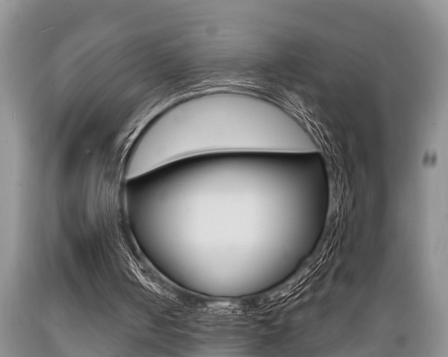 X0000089730050200706210925
