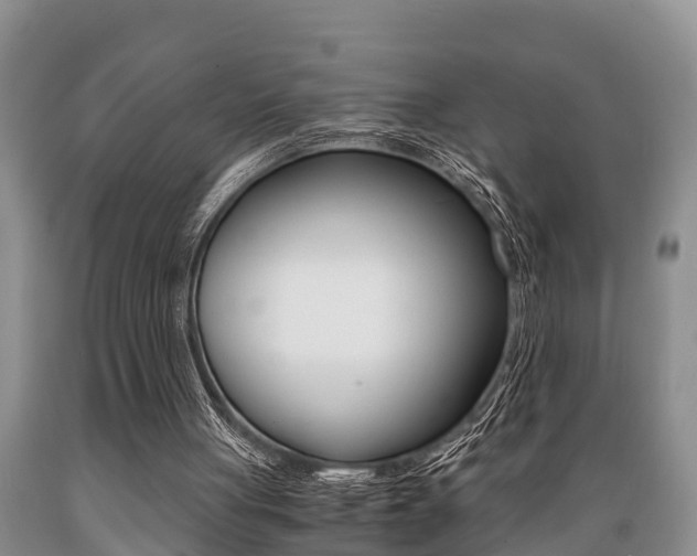 X0000089730051200706210925