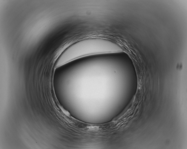 X0000089730052200706210925