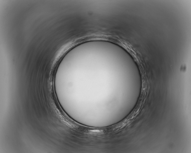 X0000089730053200706210925
