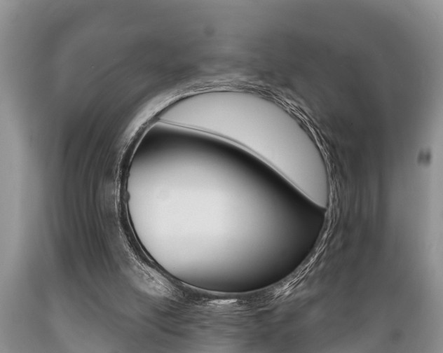 X0000089730054200706210925