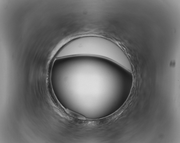 X0000089730056200706210925