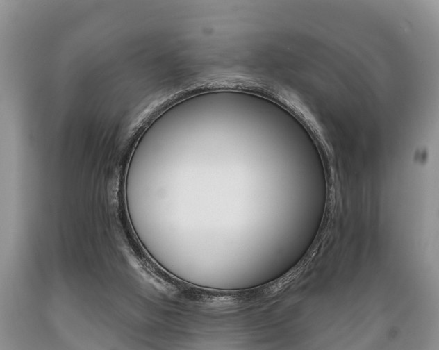 X0000089730058200706210925