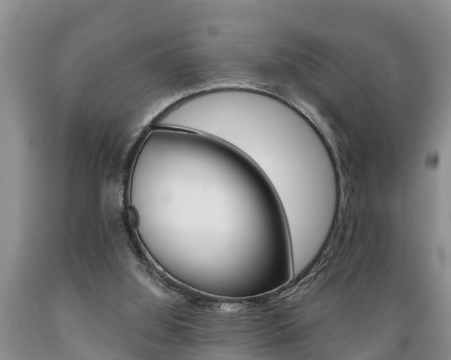 X0000089730060200706210925