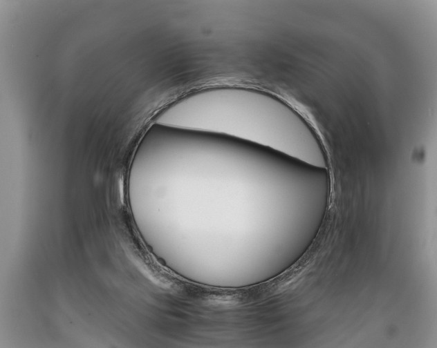 X0000089730061200706210925