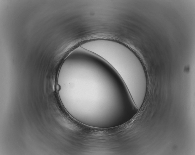 X0000089730062200706210925