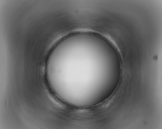 X0000089730063200706210925