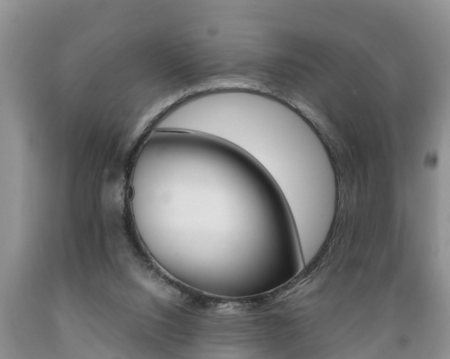 X0000089730064200706210925
