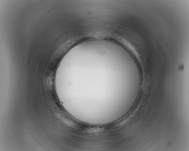 X0000089730065200706210926