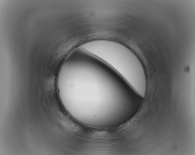 X0000089730066200706210926