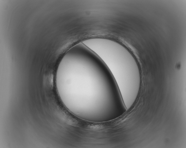 X0000089730067200706210926