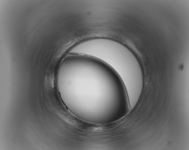 X0000089730068200706210926