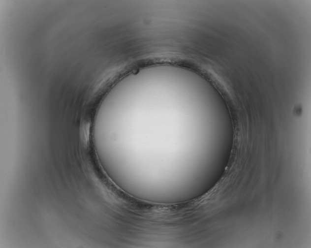 X0000089730070200706210926