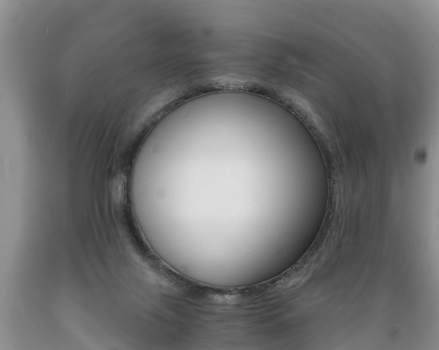 X0000089730071200706210926