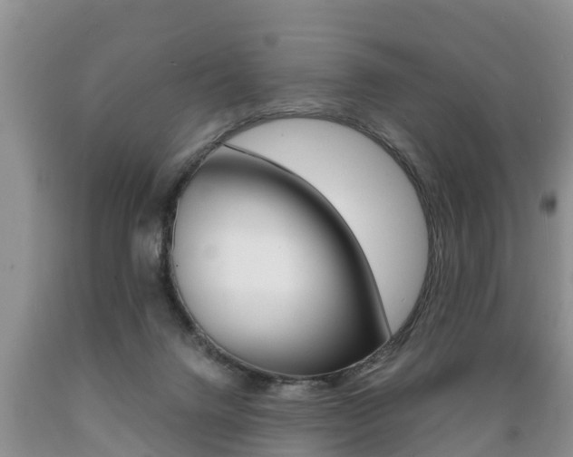X0000089730072200706210926