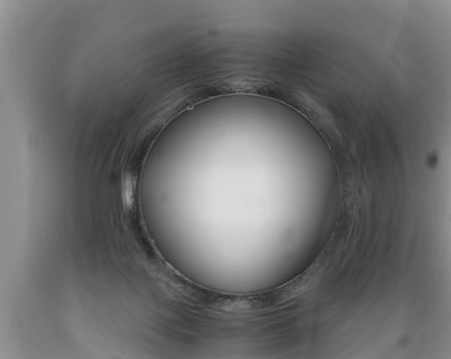 X0000089730075200706210926