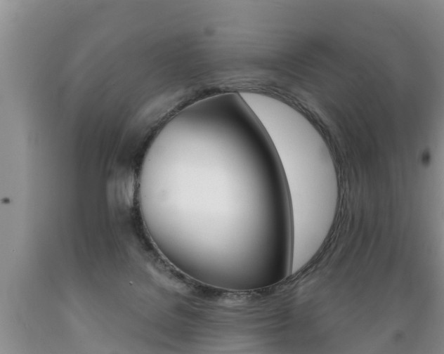 X0000089730076200706210926