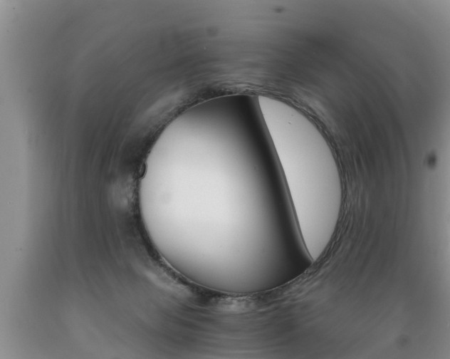X0000089730077200706210926