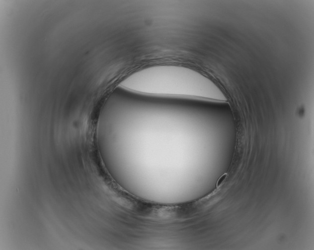 X0000089730078200706210926