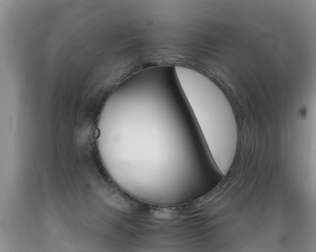 X0000089730079200706210926