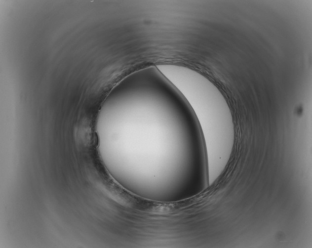 X0000089730080200706210926