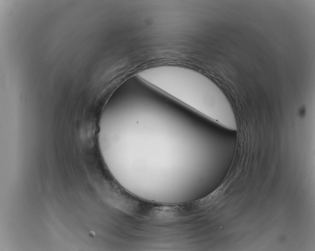 X0000089730082200706210926