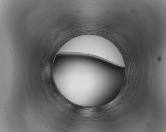 X0000089730086200706210926