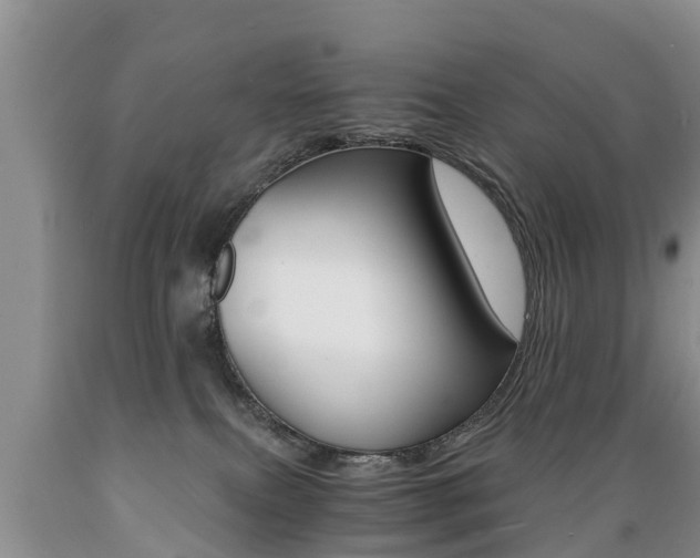 X0000089730087200706210926